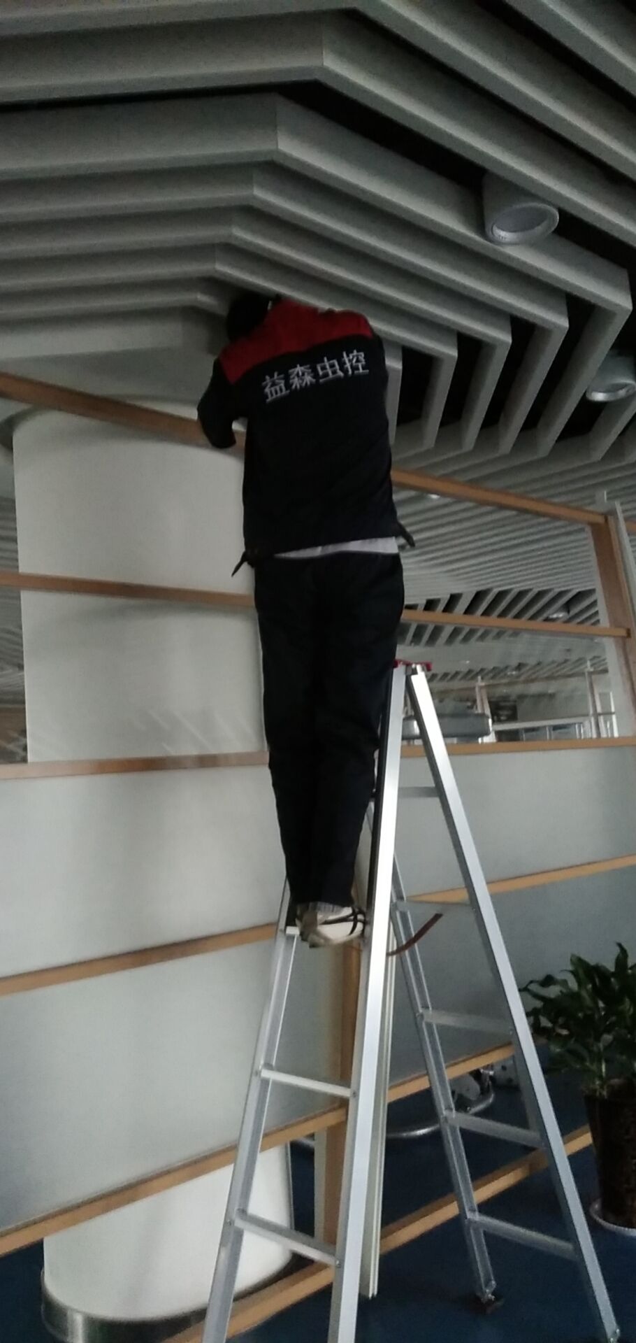 CBE4956EB8BCA7C939E990673977631C.jpg CBE4956EB8BCA7C939E990673977631C.jpg