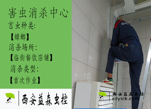 西安益森虫控｜灞桥区餐饮店除蟑螂