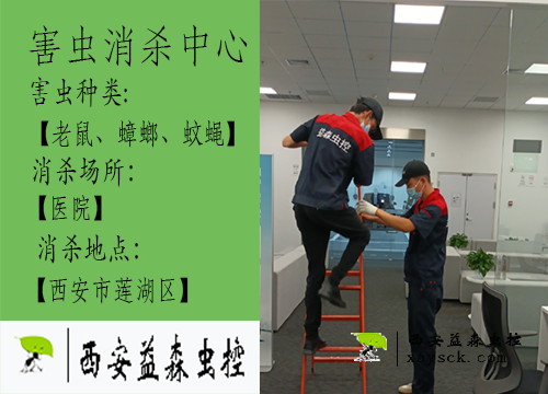 西安医院虫害防治_灭鼠除蟑螂消毒_益森虫控专业消杀服务