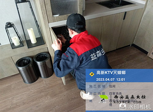 灭蟑螂图片