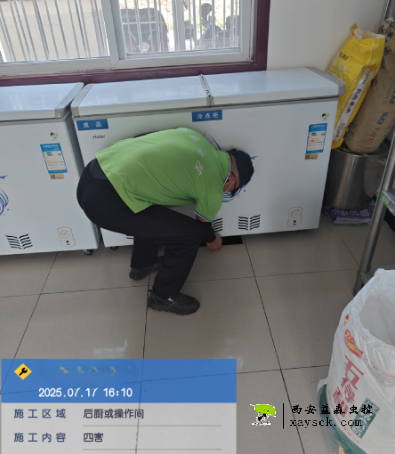 1773283308916467.png 蟑螂如何彻底除干净