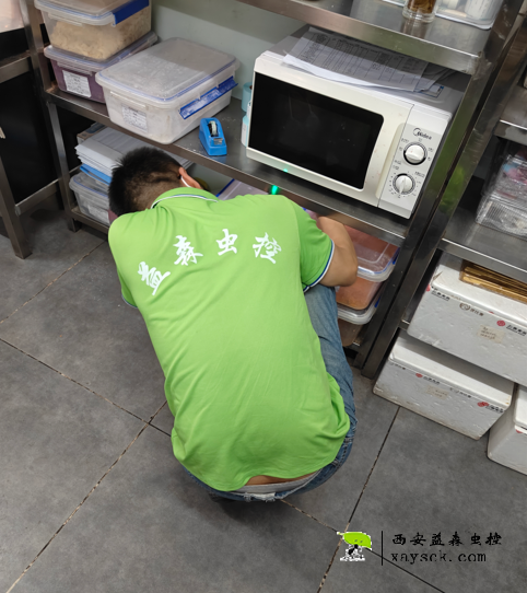 医院消杀 益森虫控碑林区医院厨房灭蟑螂