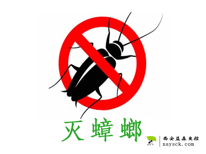 蟑螂基础知识(蟑螂的习性与预防)