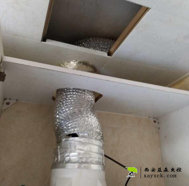 家里进老鼠了丨抽油烟机管道破损
