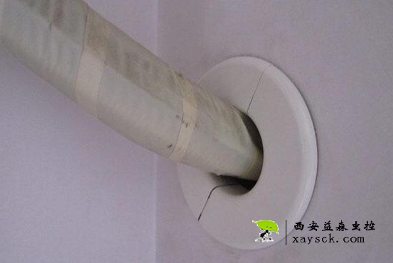 老鼠怎么进入到家里的丨空调室外机管道
