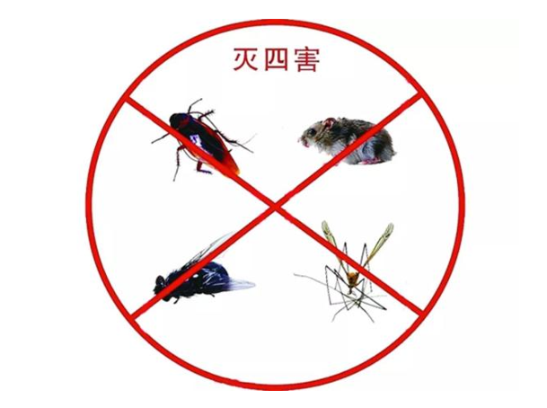 四害基础知识