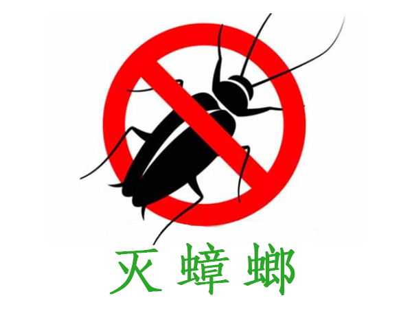 西安除蟑螂公司蟑螂消杀防治服务