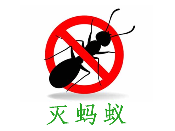 西安灭蚂蚁消杀防治服务