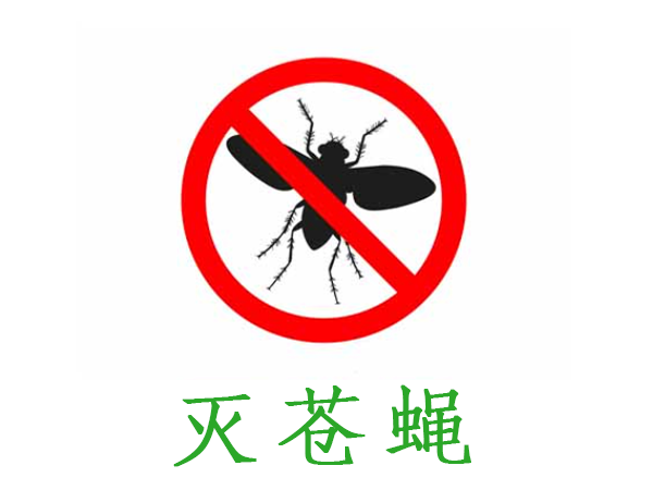 蚊蝇消杀防治服务