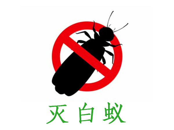 白蚁消杀防治服务