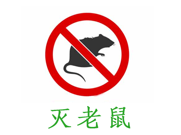 西安除老鼠公司消杀服务
