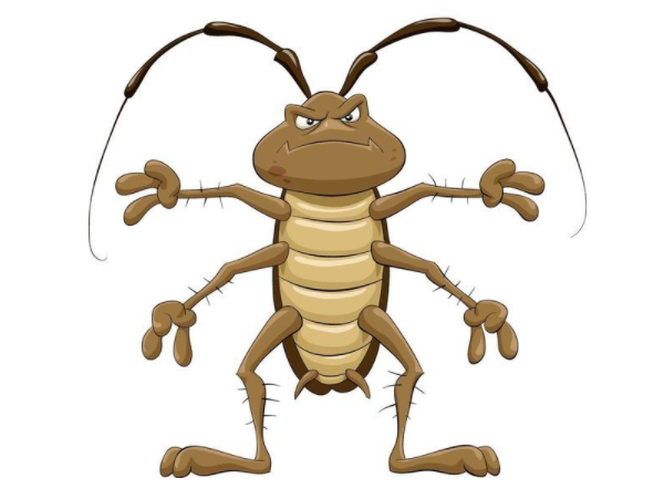 西安消杀公司：灭蟑的常用方法