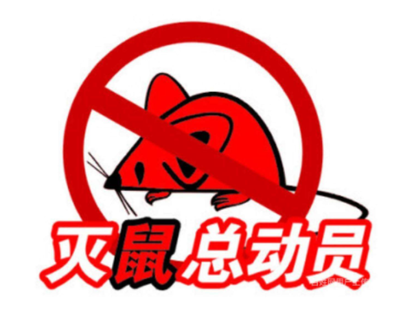 西安上门灭鼠.png