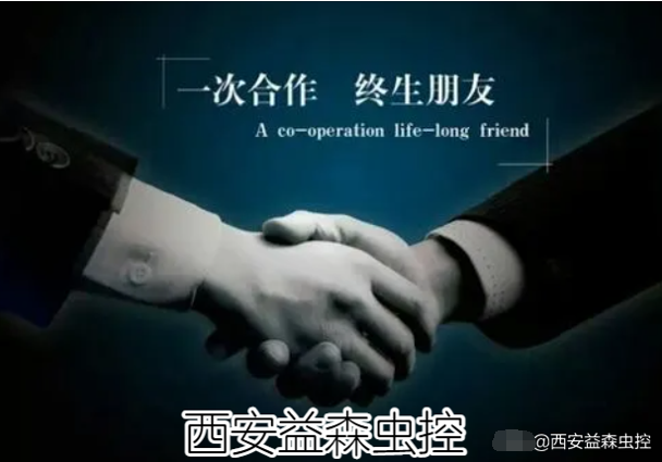 一次合作，终身朋友png