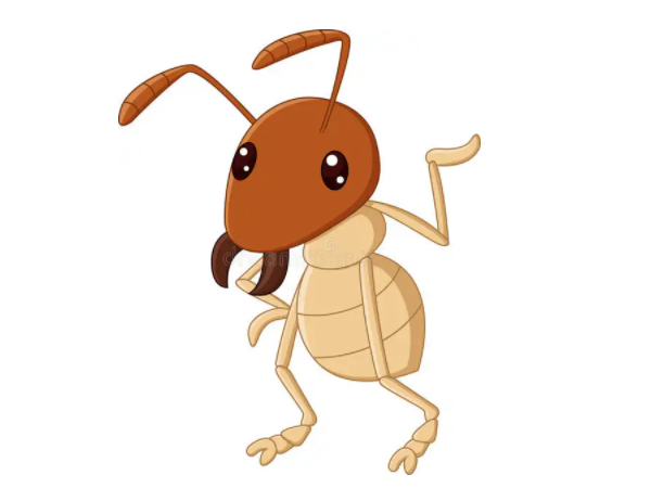 西安灭白蚁公司