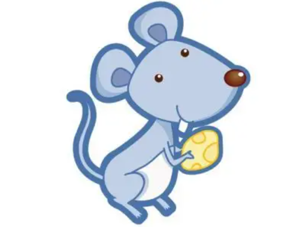 渭南灭鼠分享运动场馆如何防鼠