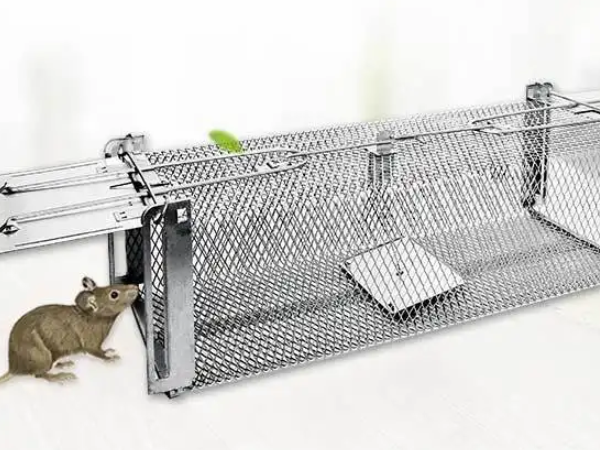 咸阳灭鼠公司洗衣机内老鼠如何处理