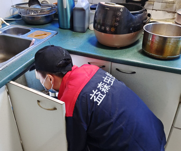 西安灭蟑螂公司家庭灭蟑螂与客户的冲突点