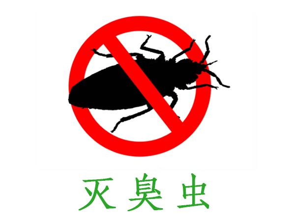 臭虫消杀防治服务