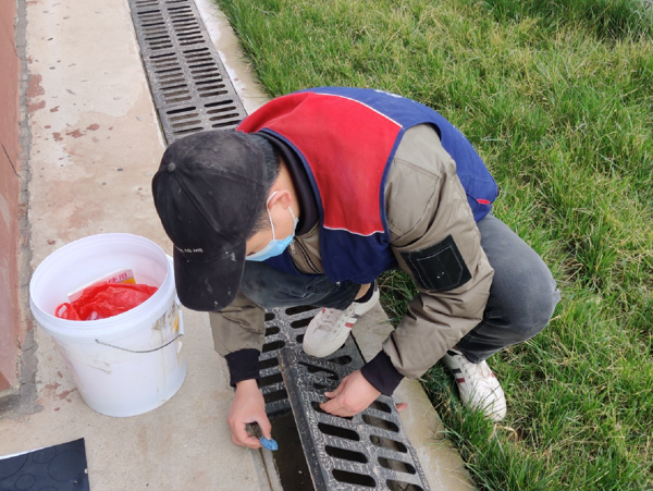 铜川灭鼠分享被老鼠咬伤应该如何处理