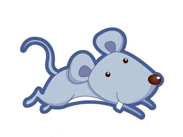 铜川灭鼠公司分享如何找鼠路