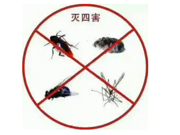 渭南灭鼠灭蟑螂公司