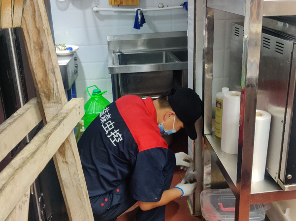 西安灭鼠公司告诉您灭鼠的常见5大误区