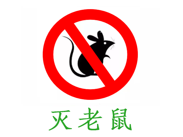 渭南灭鼠公司分享老鼠的习性特点