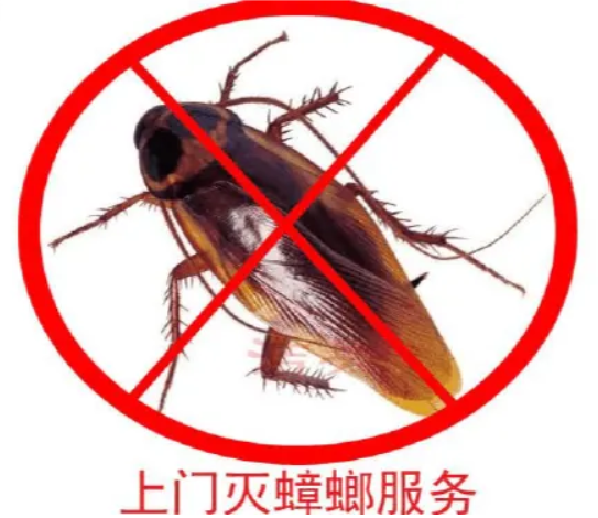 铜川灭蟑螂公司分享几个灭蟑螂的小妙招