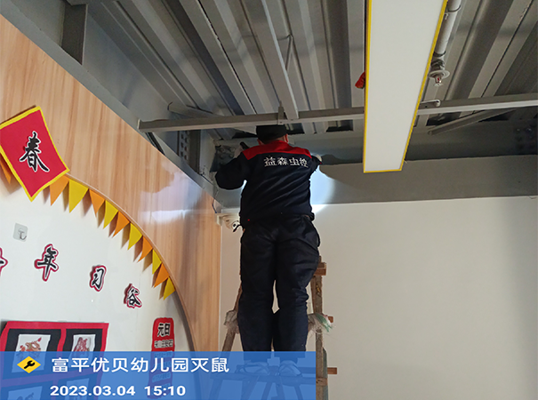 西安某幼儿园老鼠消杀防治