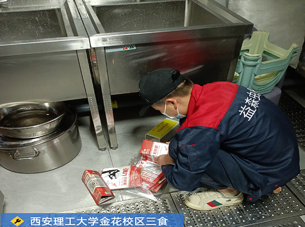 西安未央区某学校食堂灭鼠防鼠