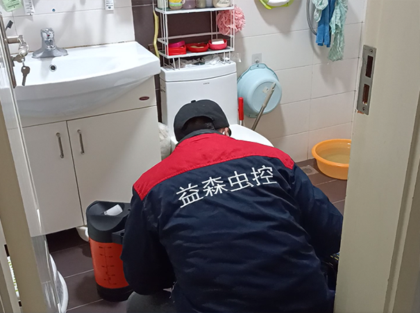 西安某家庭灭蟑螂