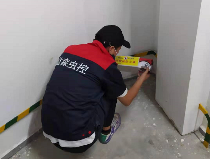 西安除蟑螂公司认为德国小蠊跟美洲大蠊的区别