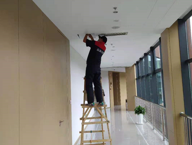 西安本地消杀公司