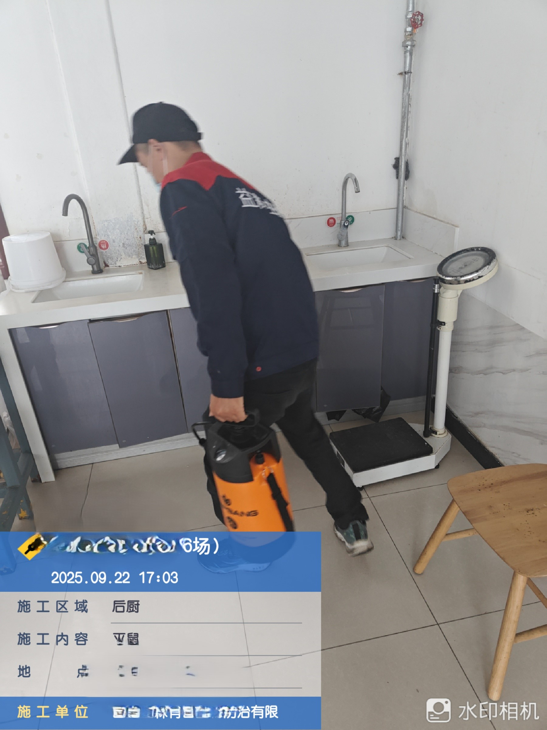 西安作为北方城市为啥会有蟑螂