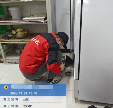 西安供暖后为啥蟑螂变的多起来了